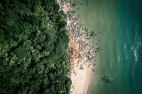 Lord of the Flies krijgt eindelijk de serie die het verdient
